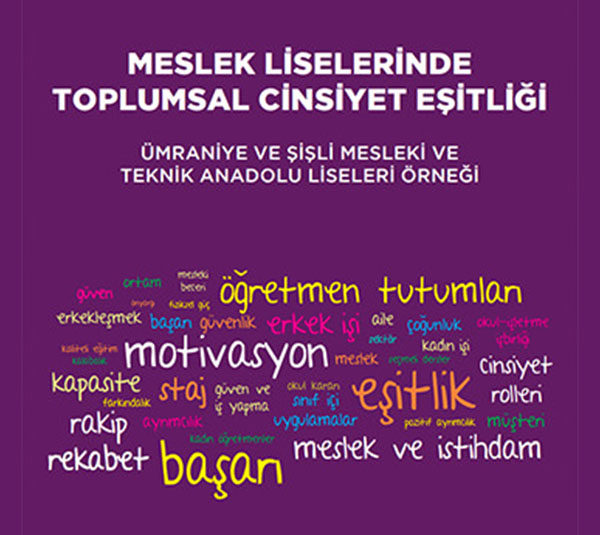 Meslek Liselerinde Toplumsal Cinsiyet Eşitliği
