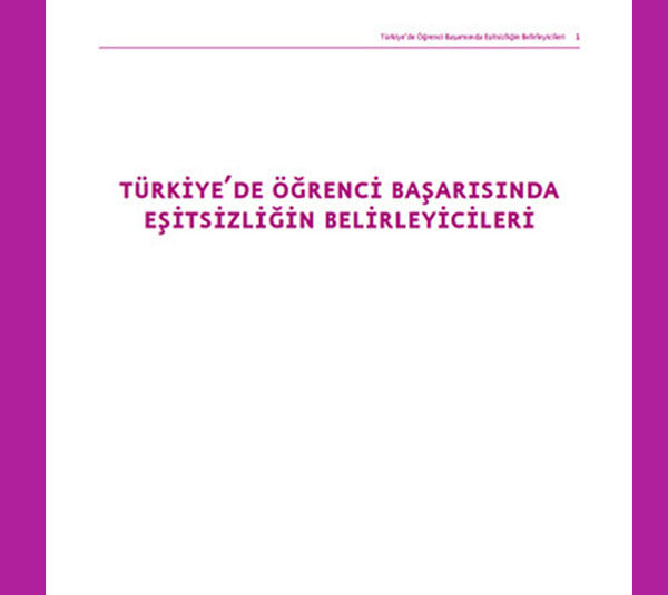 Türkiye’de Öğrenci Başarısında Eşitsizliğin Belirleyicileri